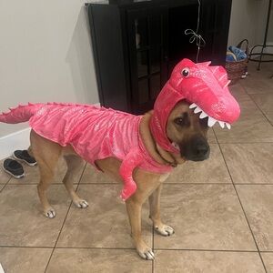 Meet your Posher, Ethan